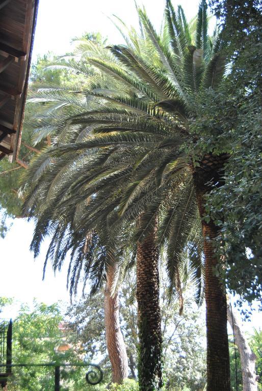 Villa Fiocchi Caltanissetta Exterior foto