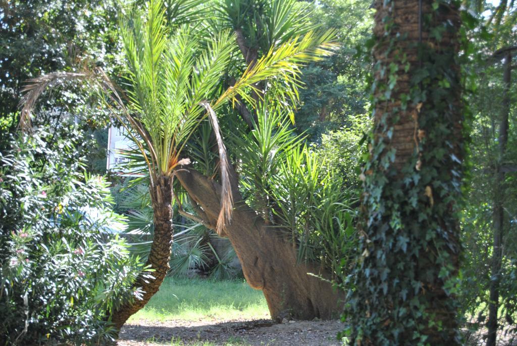 Villa Fiocchi Caltanissetta Exterior foto